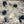 Load image into Gallery viewer, Moon Bath soak