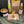 Load image into Gallery viewer, Money Manifestion Kit